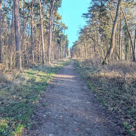 Sea Suite, 150 Meters To Beach, Balcony, Parking, Lift, Porta Mare Lesne Tarasy Dziwnowek